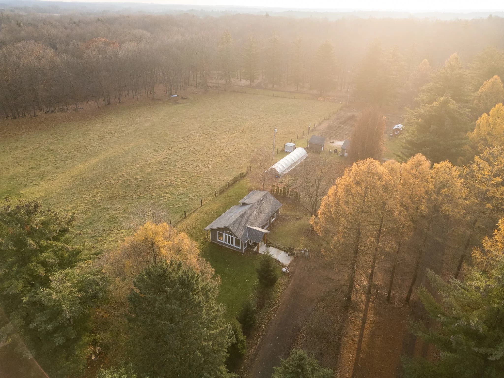 Aerial view of the forty-acre Carolinian forest at Fernwood Hills