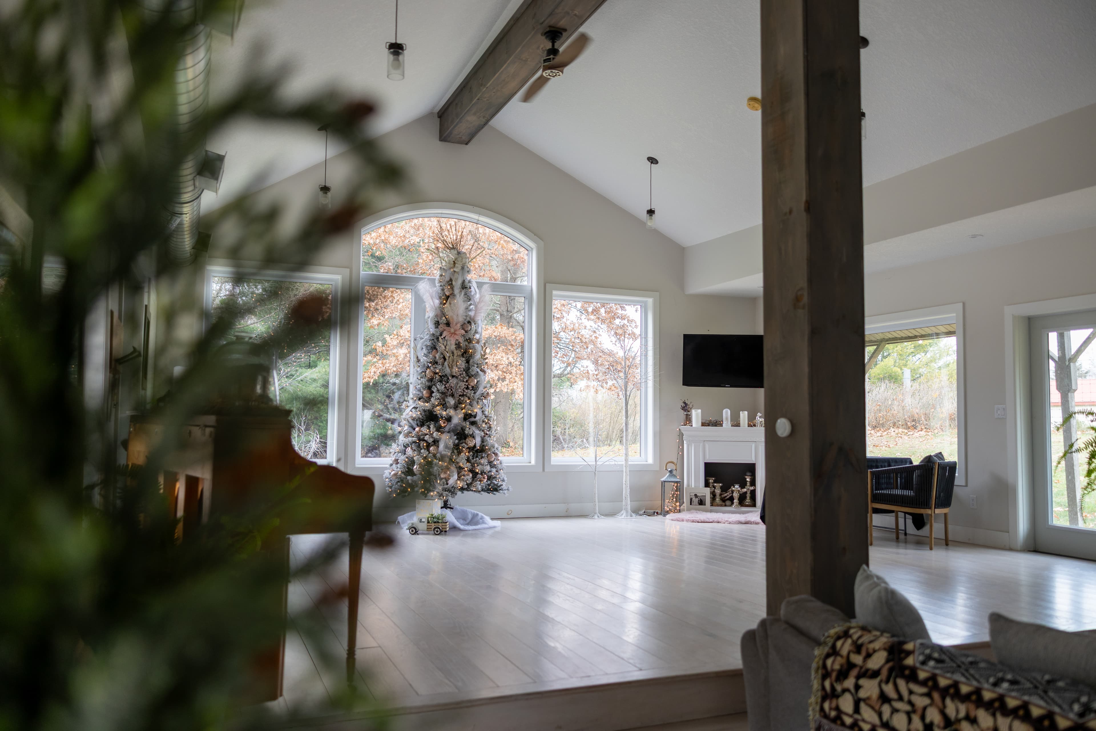 The Studio Loft at Fernwood Hills with soaring ceilings and big windows overlooking the forest