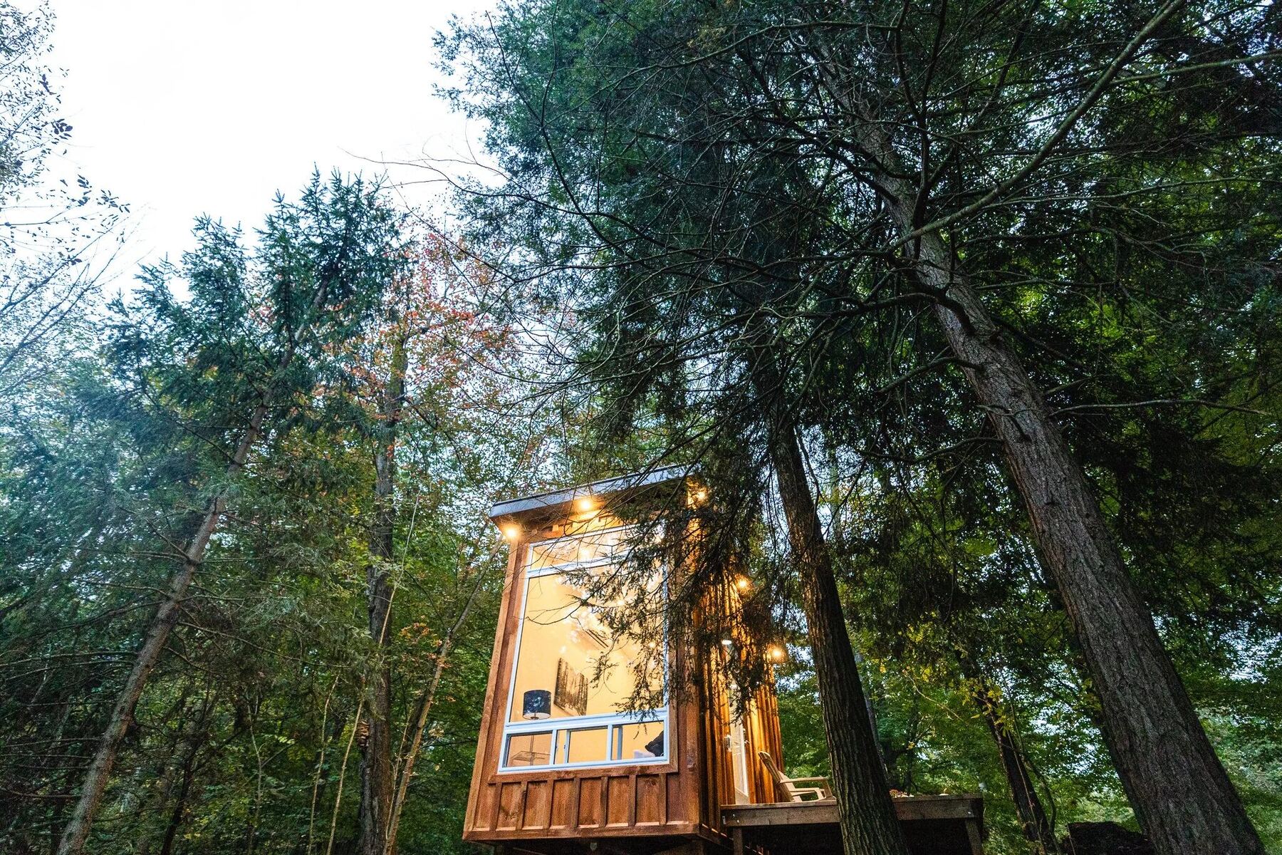 Fernwood Hills — nature retreat in Ontario's Carolinian woods